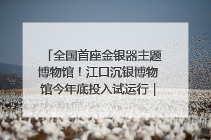全国首座金银器主题博物馆！江口沉银博物馆今年底投入试运行｜万千气象看四川