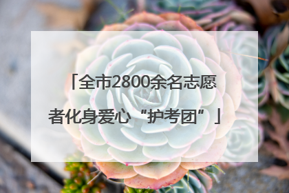 全市2800余名志愿者化身爱心“护考团”
