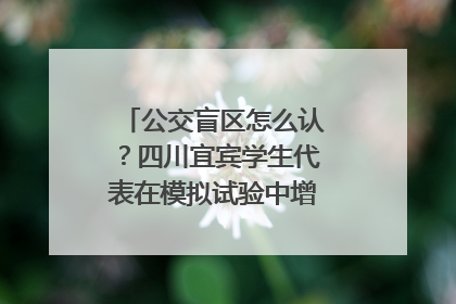 公交盲区怎么认？四川宜宾学生代表在模拟试验中增强乘车安全意识