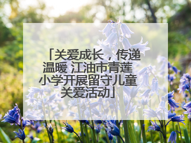 关爱成长，传递温暖 江油市青莲小学开展留守儿童关爱活动