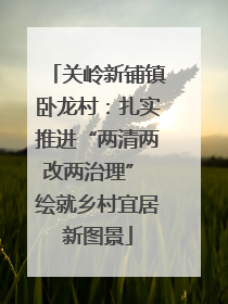 关岭新铺镇卧龙村：扎实推进“两清两改两治理” 绘就乡村宜居新图景
