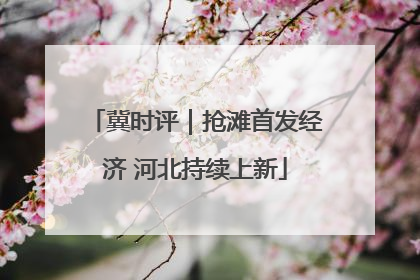 冀时评｜抢滩首发经济 河北持续上新
