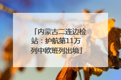 内蒙古二连边检站：护航第11万列中欧班列出境