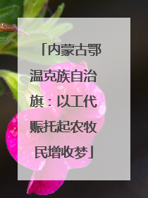 内蒙古鄂温克族自治旗：以工代赈托起农牧民增收梦