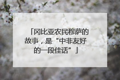冈比亚农民穆萨的故事，是“中非友好的一段佳话”
