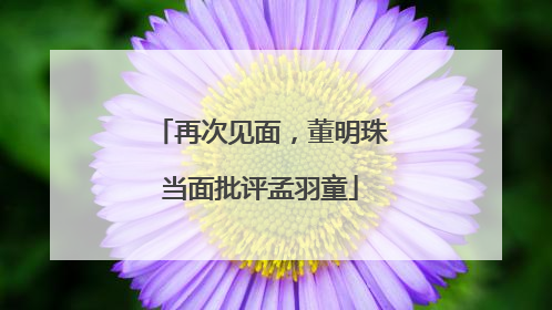 再次见面，董明珠当面批评孟羽童