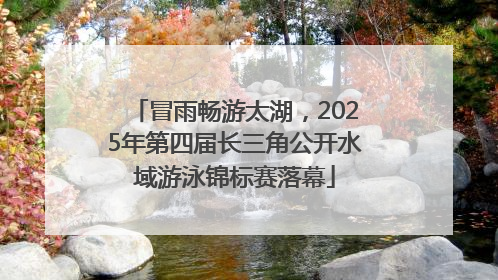 冒雨畅游太湖，2025年第四届长三角公开水域游泳锦标赛落幕
