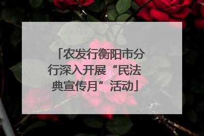 农发行衡阳市分行深入开展“民法典宣传月”活动