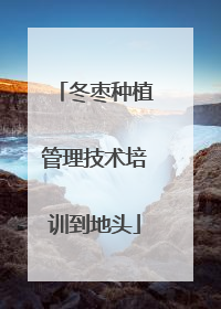 冬枣种植管理技术培训到地头