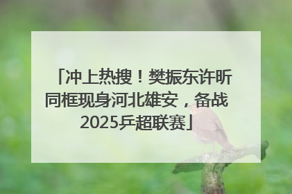 冲上热搜！樊振东许昕同框现身河北雄安，备战2025乒超联赛