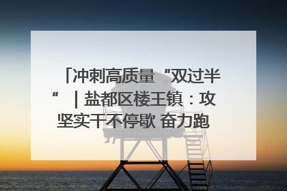 冲刺高质量“双过半”｜盐都区楼王镇：攻坚实干不停歇 奋力跑赢“上半场”