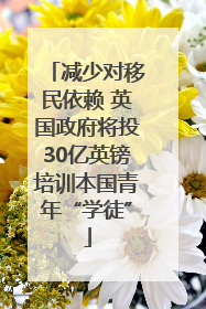 减少对移民依赖 英国政府将投30亿英镑培训本国青年“学徒”