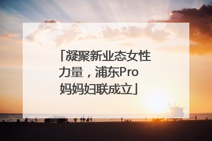 凝聚新业态女性力量，浦东Pro妈妈妇联成立