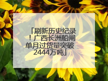 刷新历史纪录！广西长洲船闸单月过货量突破2444万吨