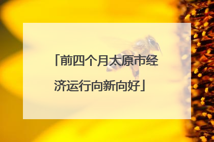 前四个月太原市经济运行向新向好