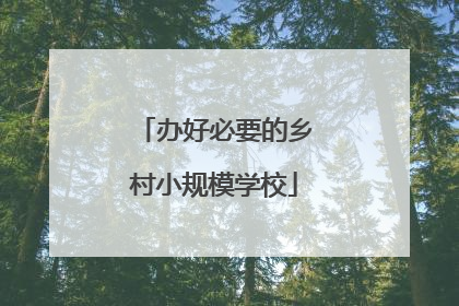 办好必要的乡村小规模学校