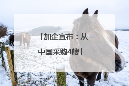 加企宣布：从中国采购4艘