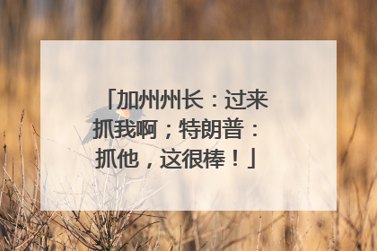 加州州长：过来抓我啊；特朗普：抓他，这很棒！
