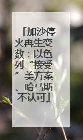 加沙停火再生变数：以色列“接受”美方案、哈马斯不认可