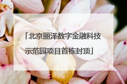 北京丽泽数字金融科技示范园项目首栋封顶