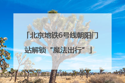 北京地铁6号线朝阳门站解锁“魔法出行”