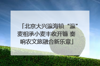 北京大兴瀛海镇“瀛”麦相承小麦丰收开镰 奏响农文旅融合新乐章