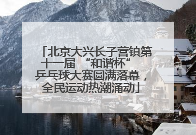 北京大兴长子营镇第十一届 “和谐杯” 乒乓球大赛圆满落幕，全民运动热潮涌动