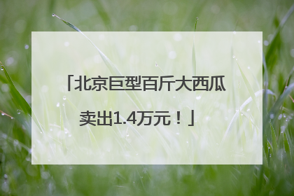 北京巨型百斤大西瓜卖出1.4万元！
