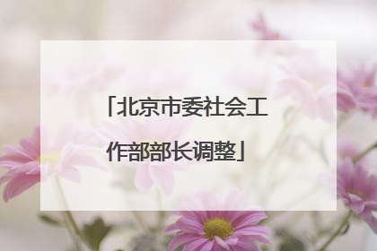 北京市委社会工作部部长调整