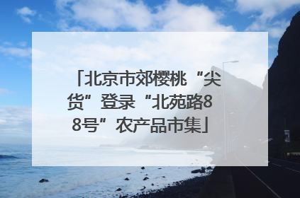 北京市郊樱桃“尖货”登录“北苑路88号”农产品市集