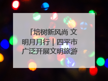 培树新风尚 文明月月行｜四平市广泛开展文明旅游主题实践活动