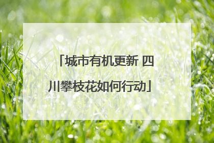 城市有机更新 四川攀枝花如何行动