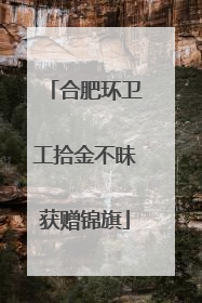 合肥环卫工拾金不昧获赠锦旗