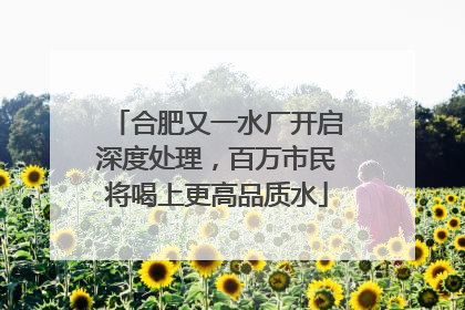合肥又一水厂开启深度处理，百万市民将喝上更高品质水