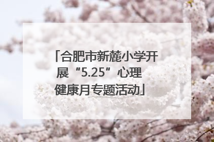 合肥市新麓小学开展“5.25”心理健康月专题活动