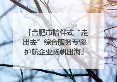 合肥市陪伴式“走出去”综合服务专窗护航企业扬帆出海