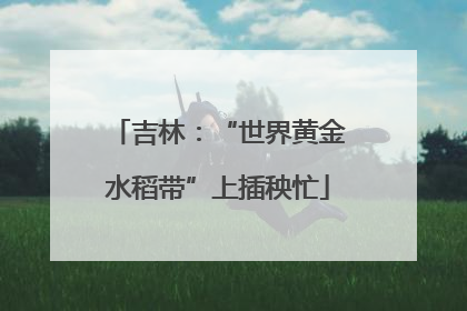 吉林：“世界黄金水稻带”上插秧忙