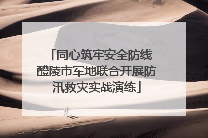 同心筑牢安全防线 醴陵市军地联合开展防汛救灾实战演练