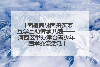 同根同脉同舟筑梦 互学互助传承共融——河西区举办津台青少年国学交流活动
