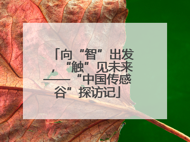 向“智”出发，“触”见未来——“中国传感谷”探访记