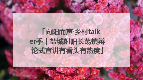 向阳而声·乡村talker季｜盐城射阳长荡镇辩论式宣讲有看头有热度