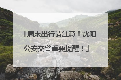 周末出行请注意！沈阳公安交警重要提醒！