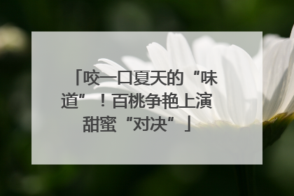 咬一口夏天的“味道”！百桃争艳上演甜蜜“对决”
