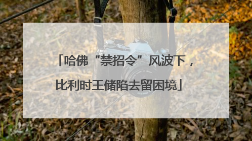 哈佛“禁招令”风波下，比利时王储陷去留困境