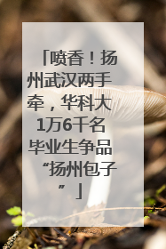 喷香！扬州武汉两手牵，华科大1万6千名毕业生争品“扬州包子”
