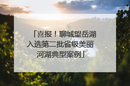 喜报！聊城望岳湖入选第二批省级美丽河湖典型案例