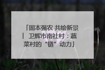 固本强农 共绘新景 ︳卫辉市南社村：蔬菜村的“链”动力