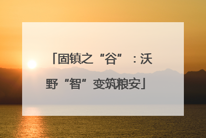 固镇之“谷”：沃野“智”变筑粮安