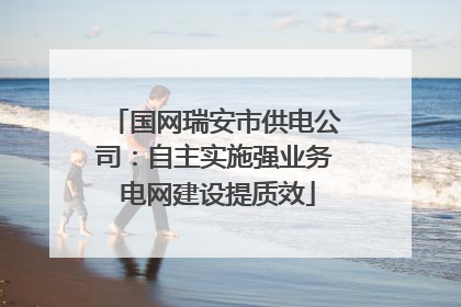 国网瑞安市供电公司：自主实施强业务 电网建设提质效