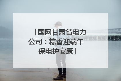 国网甘肃省电力公司：粽香迎端午 保电护安康